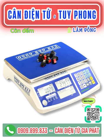 C&acirc;n điện tử ở Tuy Phong L&acirc;m Đồng - C&acirc;n Gia Ph&aacute;t